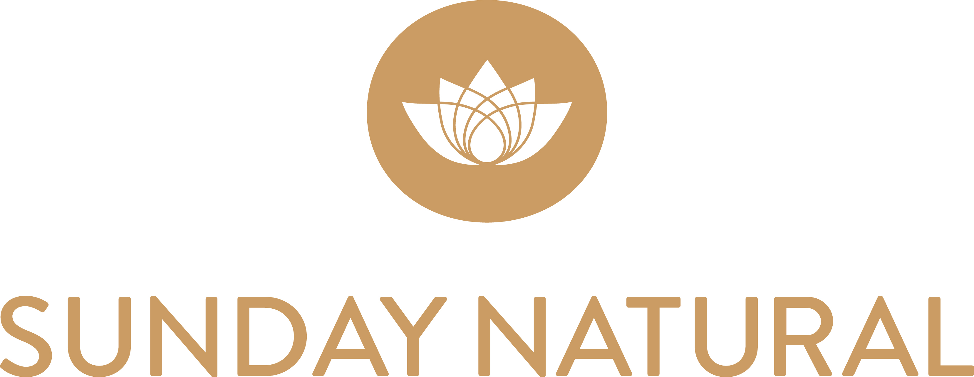 Hiring Logo